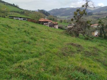 Casa rústica en venta en Salas