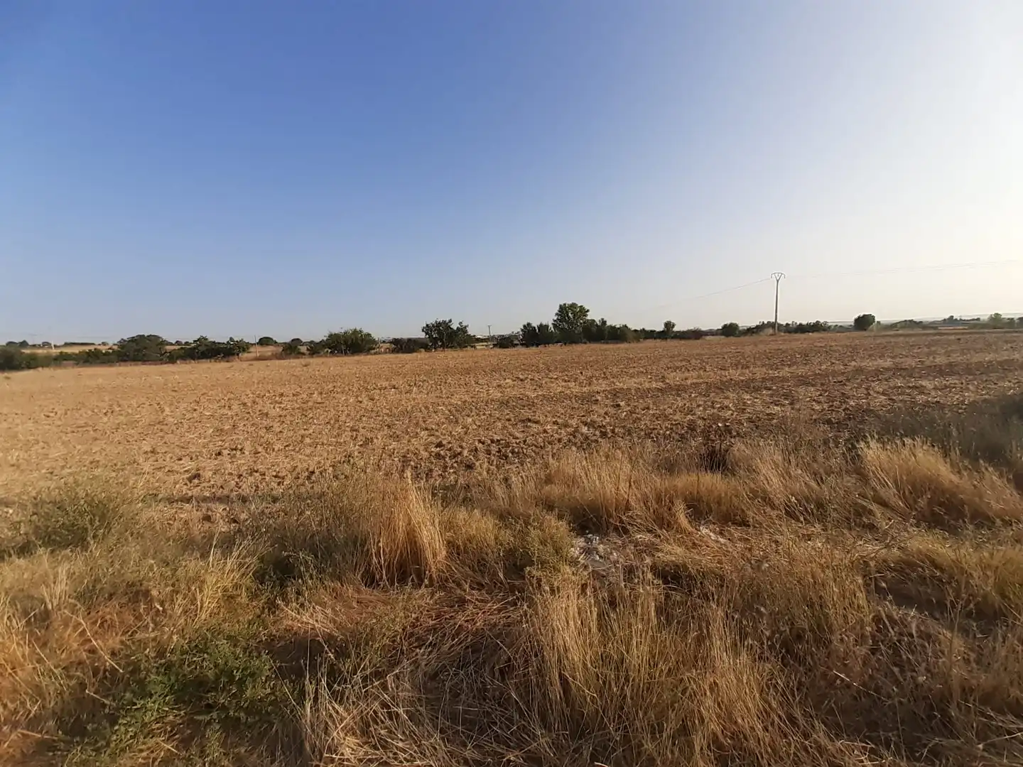 Terreni e lotti in vendita a Pinilla