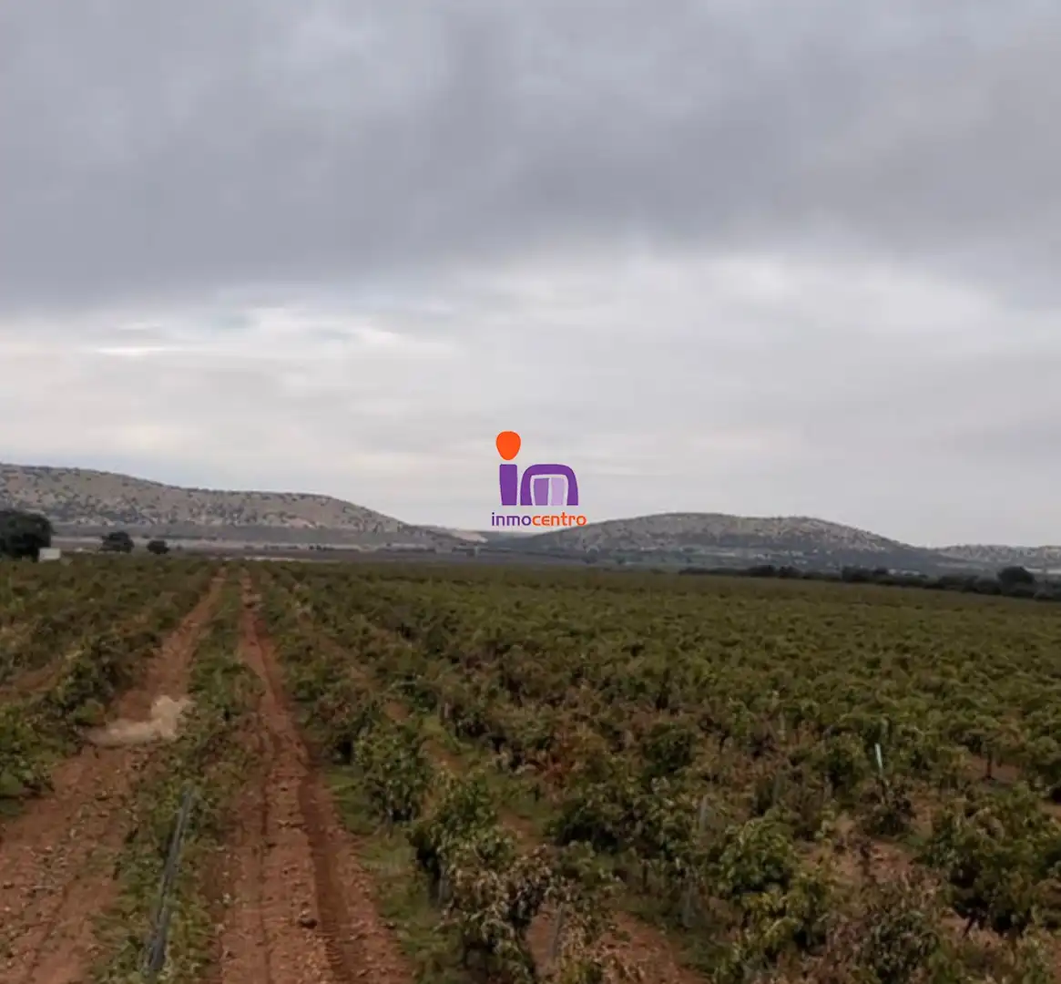 Finca rústica en venta en Granátula de Calatrava