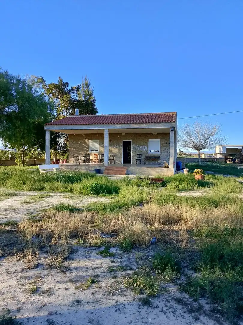 Vista exterior de Finca rústica en venta en Daya Nueva