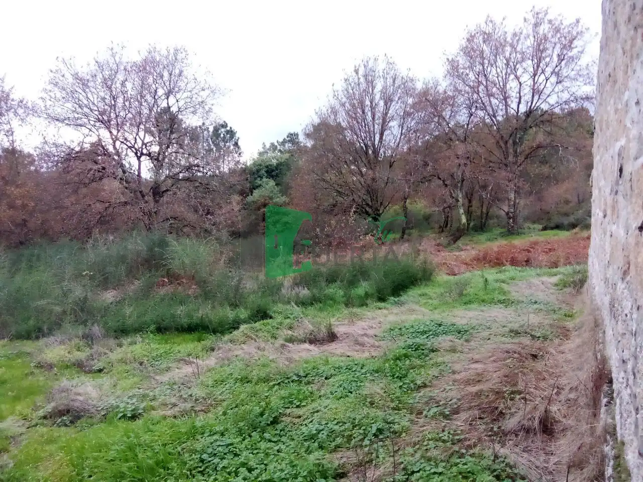 Xalet amb terrassa en venda a Cartelle, imagen 22