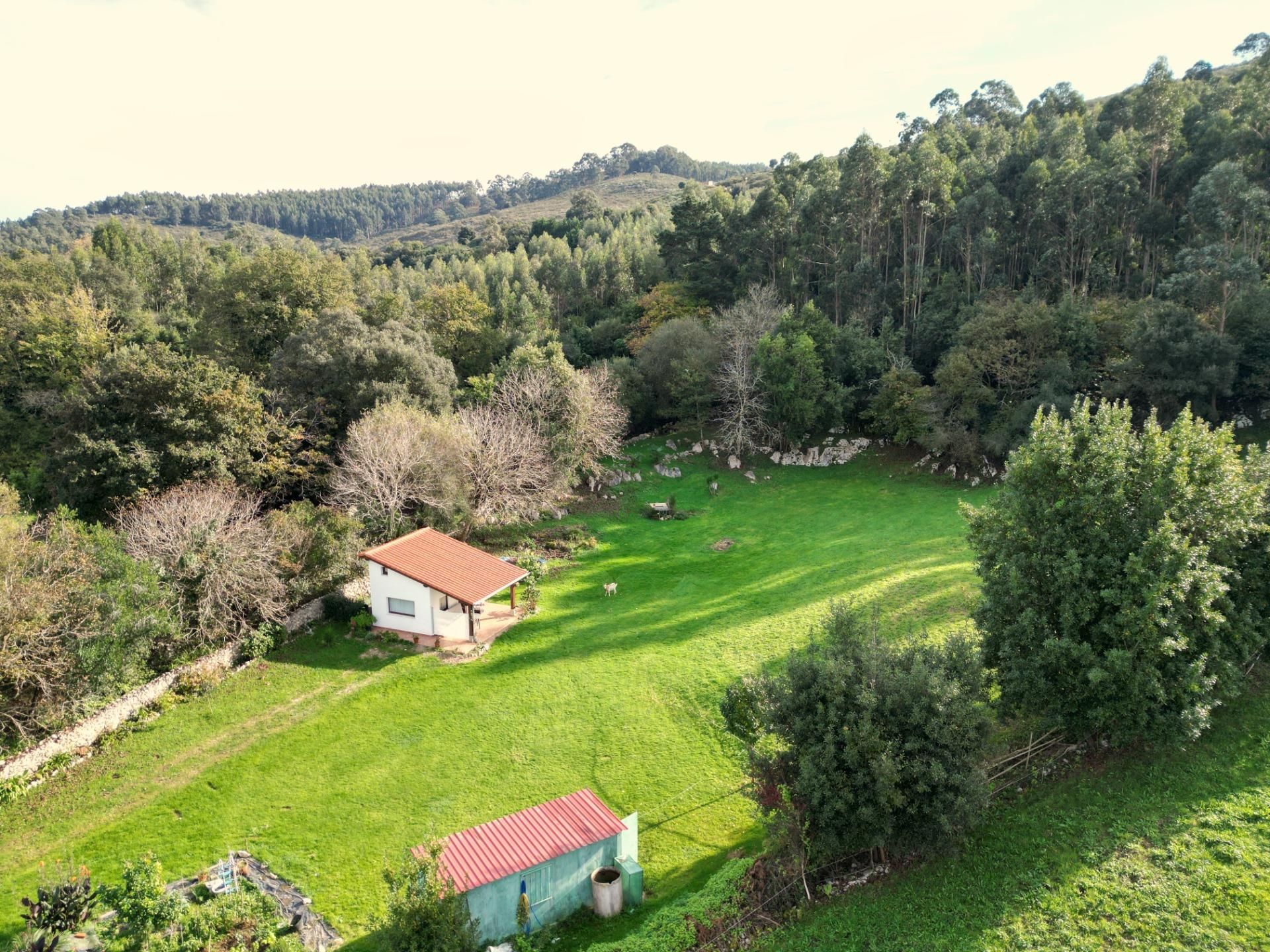 Garden of Land for sale in Ruiloba