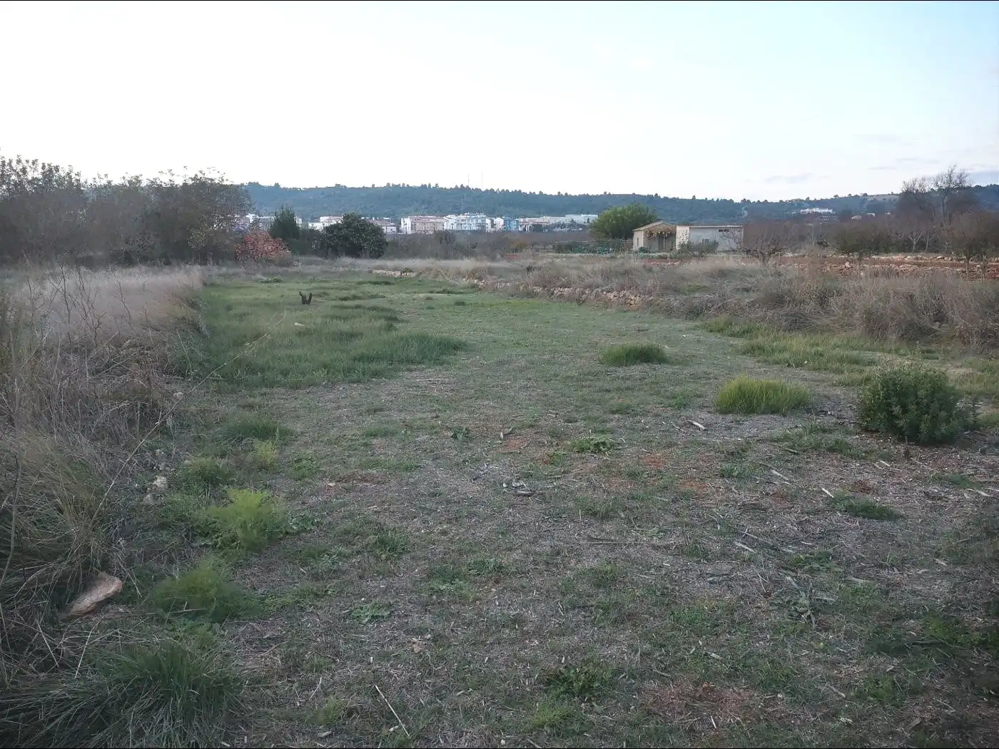 Terreny rústic en venda a Vall d'Alba