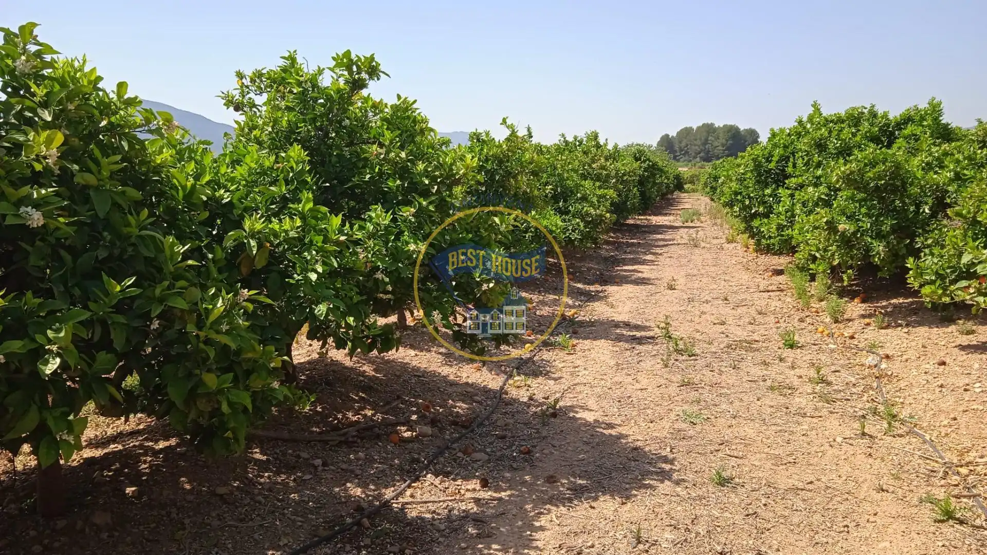 Terreno residencial en venta en Montesa, imagen 4
