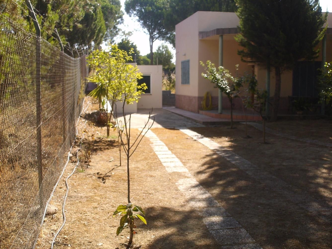 Jardí de Casa o xalet en venda en Isla Cristina amb Jardí privat, Terrassa i Traster