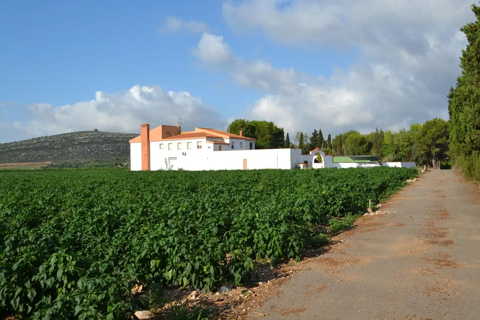 Country house with pool for sale in Partidas de interior - Zona Rústica, imagen 56