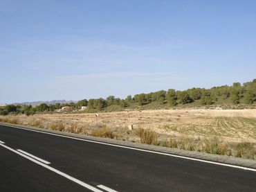 Terreno rustico in vendita a Jumilla