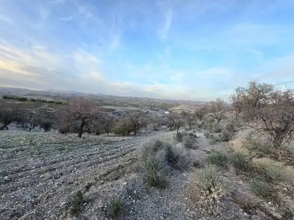 Finca rústica en venta en Lorca