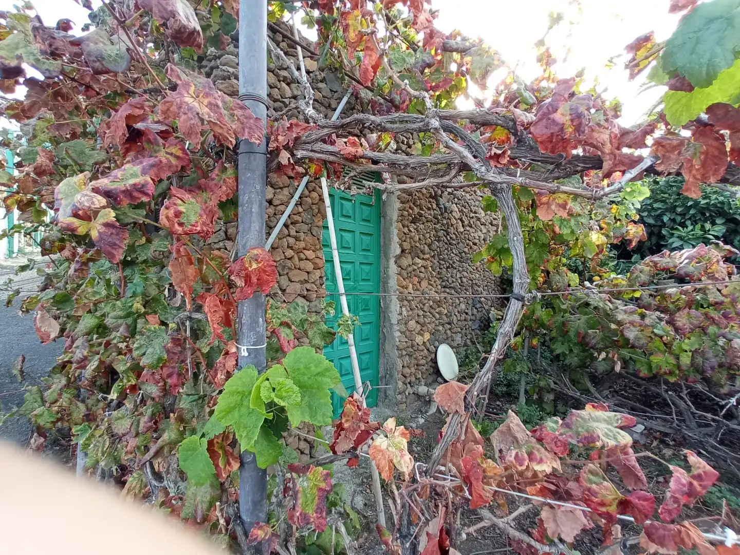 Terreno rustico in vendita a Las Cuevas - Los Gómez, imagen 40