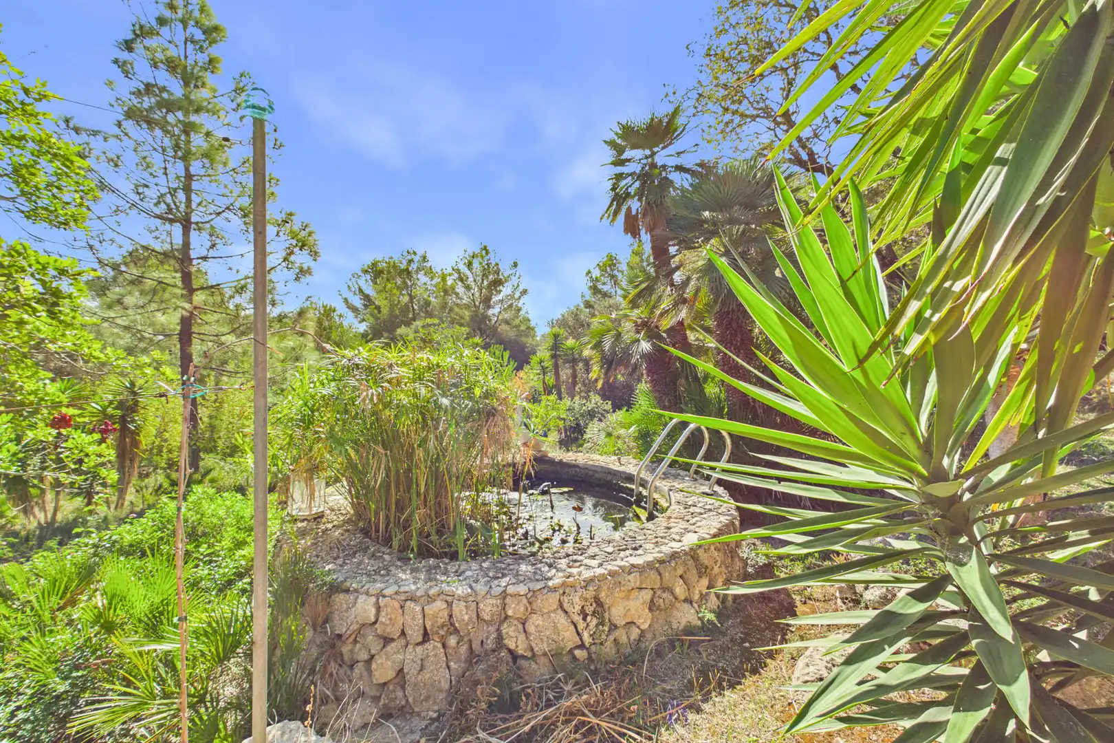 Jardín de Finca rústica en venta en Cala Ratjada