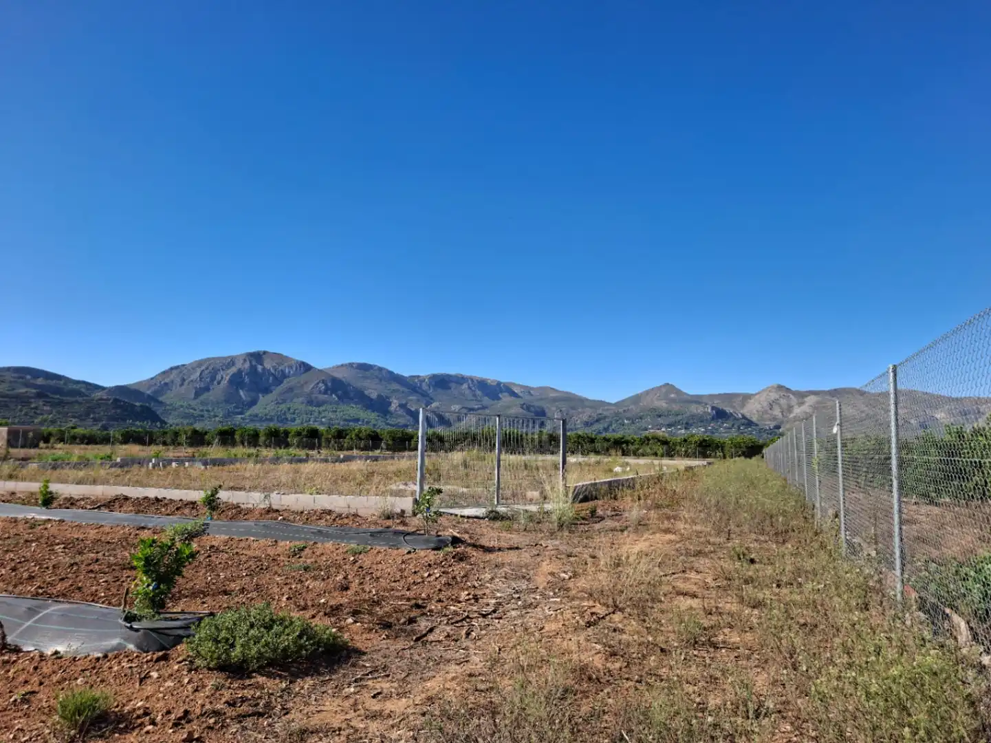 Terreny residencial en venda a Pego, imagen 6