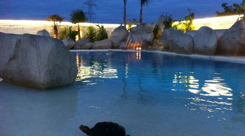 Photo 4 of Houses for sale in Calle Tarongina, 6, Club de Tenis, Torrent