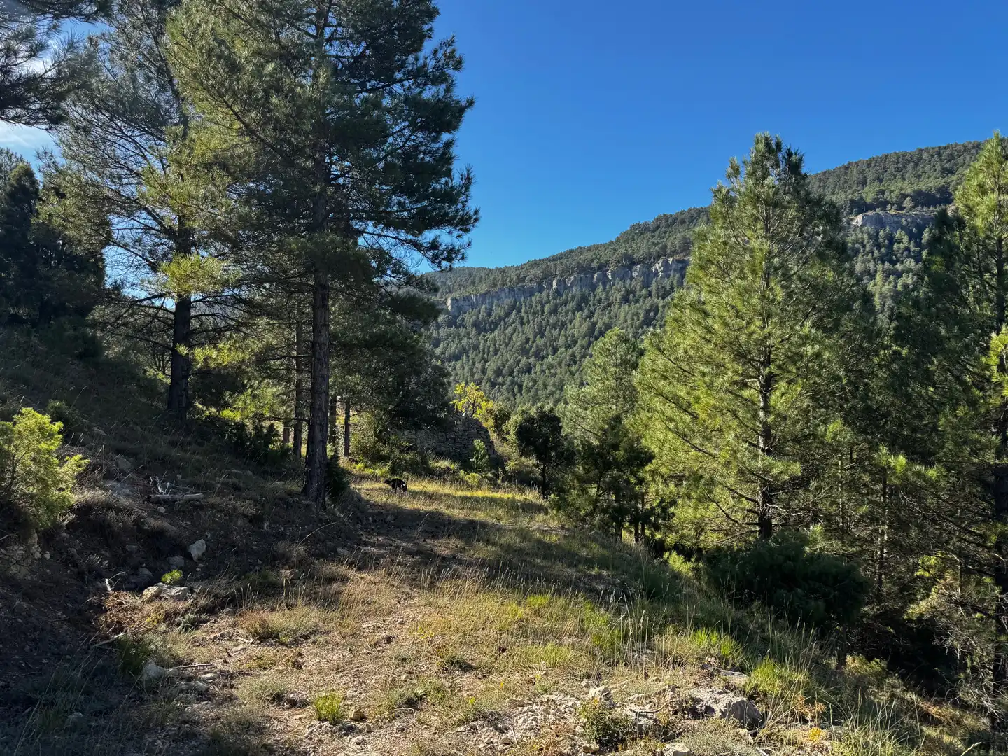 Terreni e lotti in vendita a Beceite, imagen 16