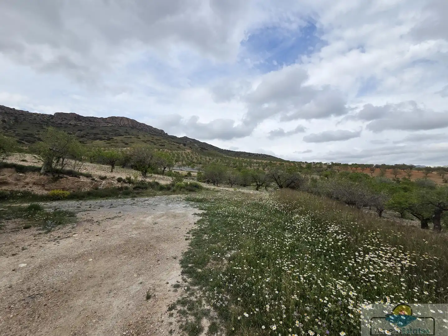 Terrenys i solars en venda a Albox, imagen 7
