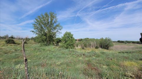 Foto 3 de Residencial en venda a 1 Parcela , Coreses, Zamora