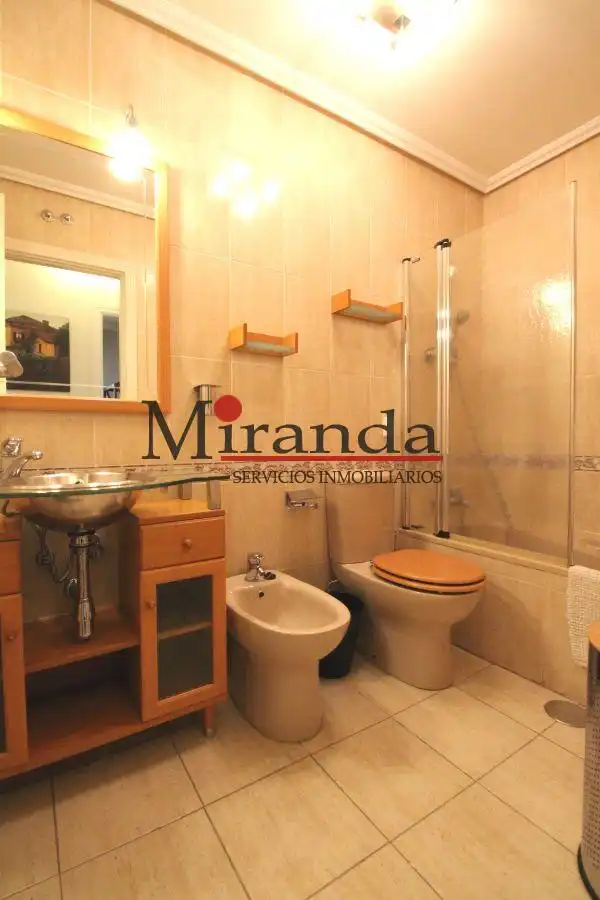 Houses for rent in Centro