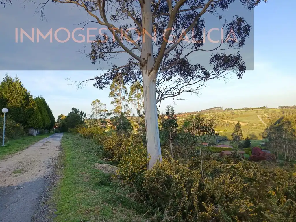 Residential land for sale in Rua Magnolio, imagen 5