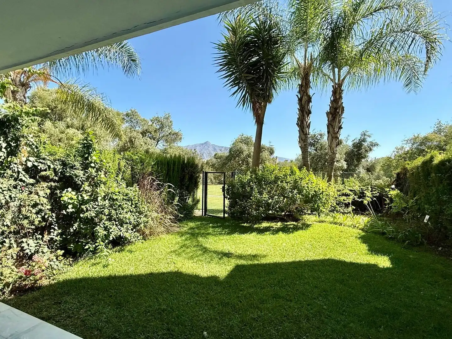Baixos amb piscina de lloguer a San Pedro de Alcántara, imagen 2