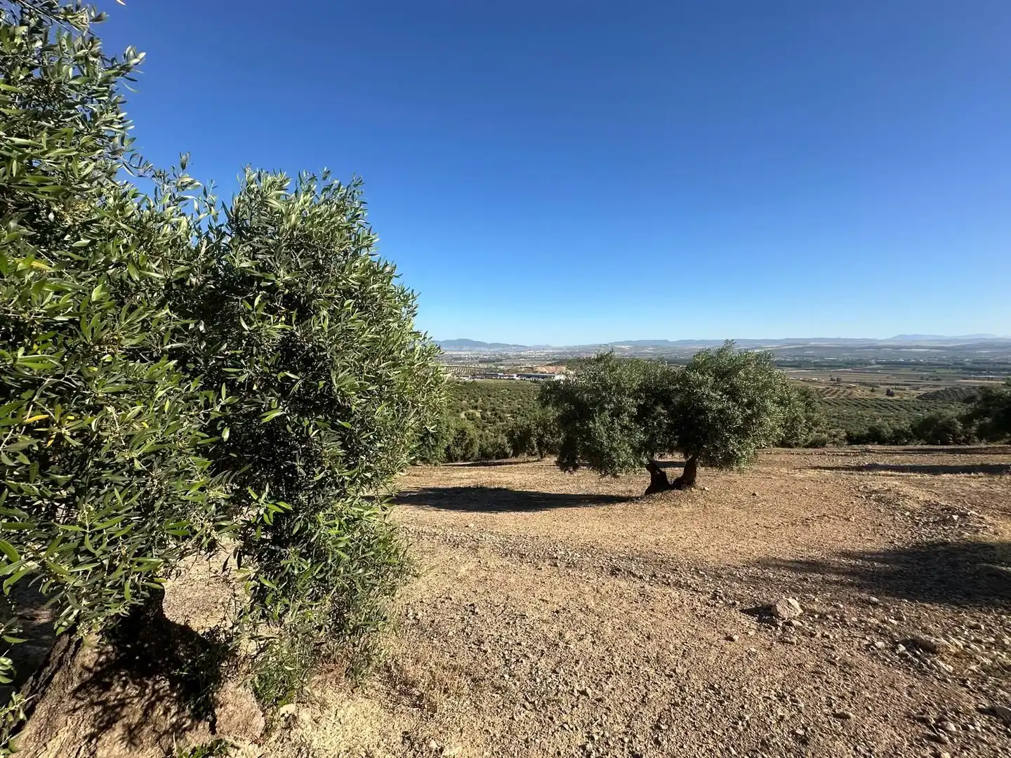 Terreni e lotti in vendita a Atarfe, imagen 4