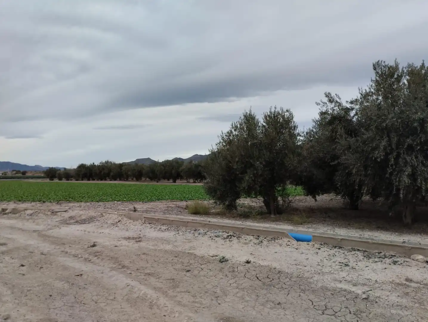 Terreny rústic en venda a Lorca Ciudad