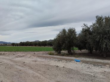 Terrain rustique à vendre à Lorca Ciudad