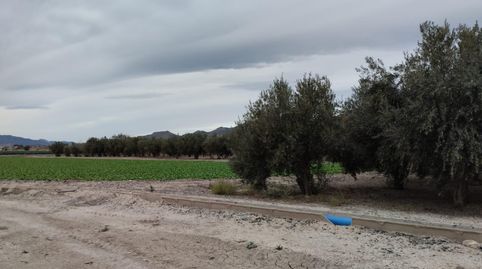 Terreno de Regadío  La Hoya, Lorca