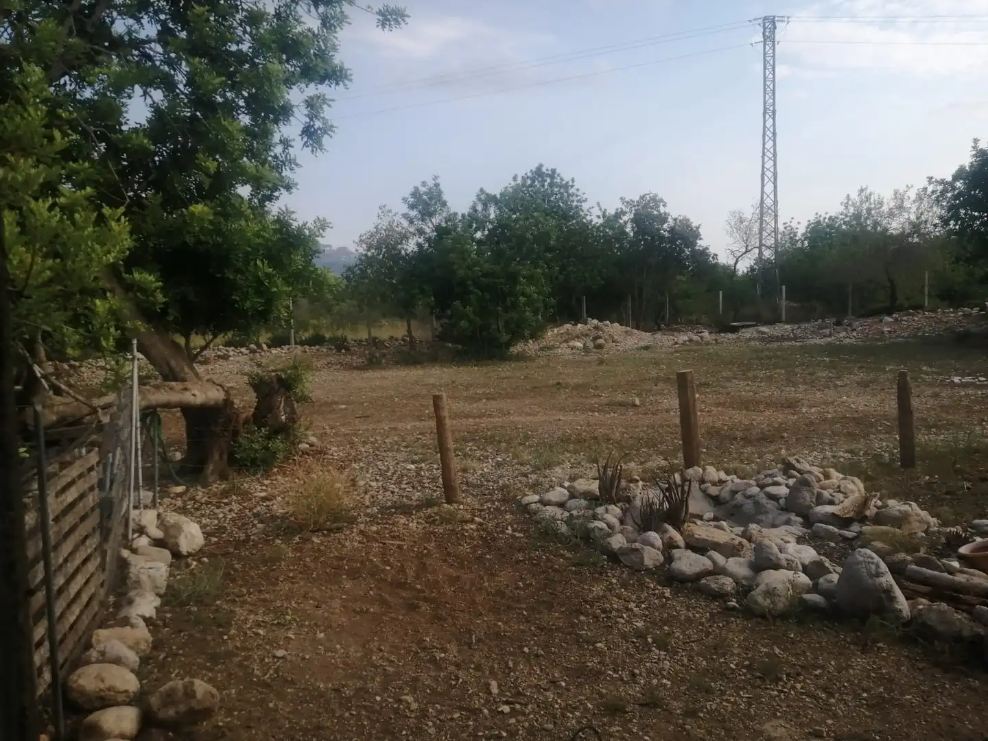 Terreny rústic en venda a Ulldecona, imagen 32