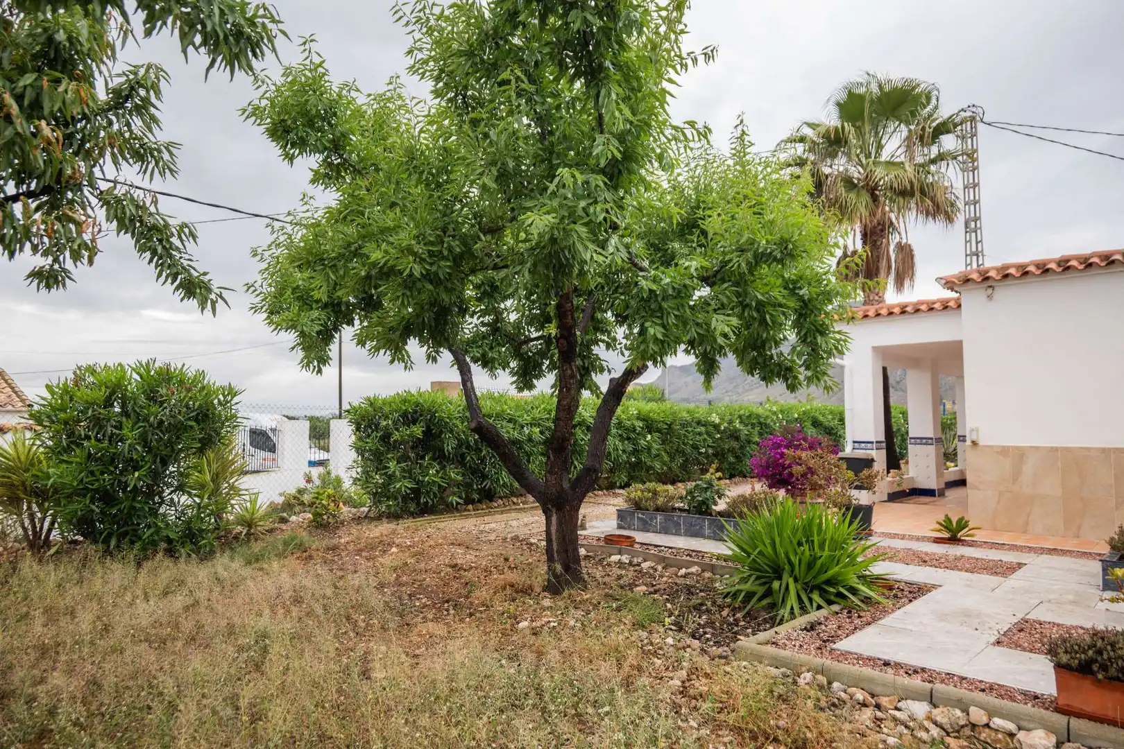 Jardín de Casa o chalet en venta en Orihuela con Jardín privado, Terraza y Trastero
