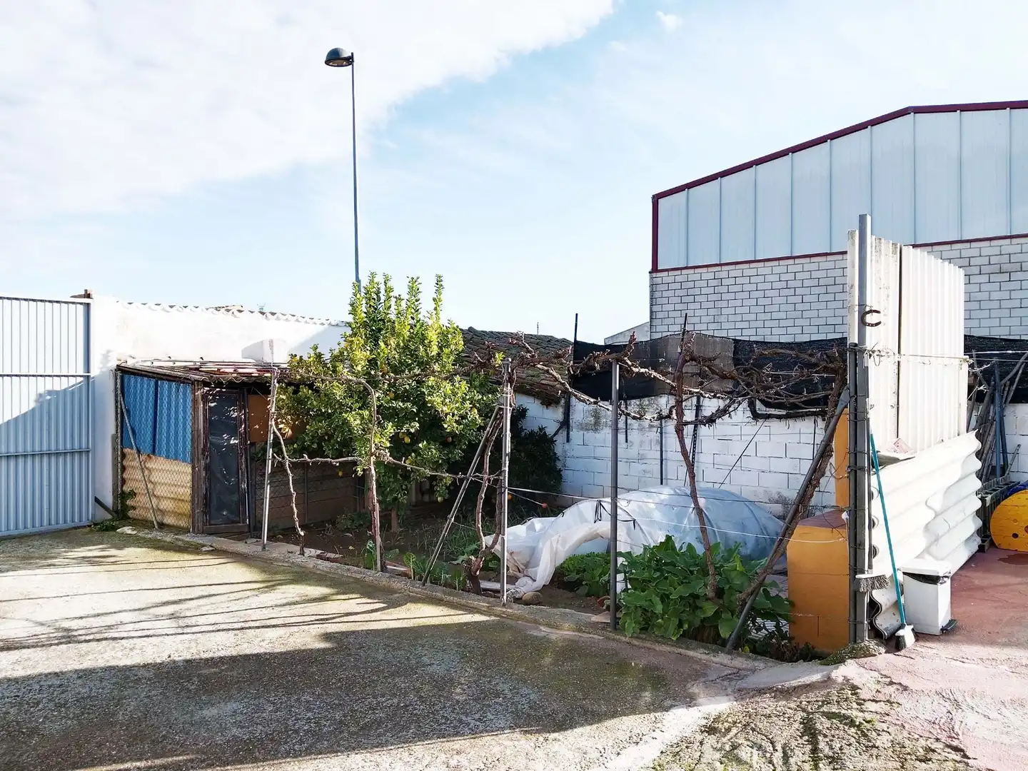 Vista exterior de Casa o chalet en venta en Castejón (Navarra) con Calefacción, Jardín privado y Terraza