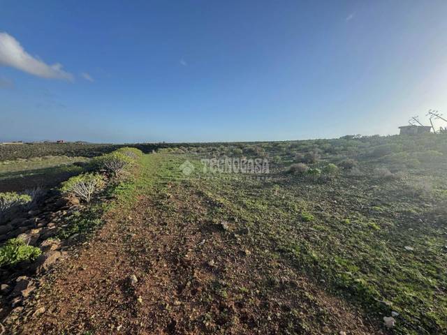 Terreno en Venta en Ingenio pueblo