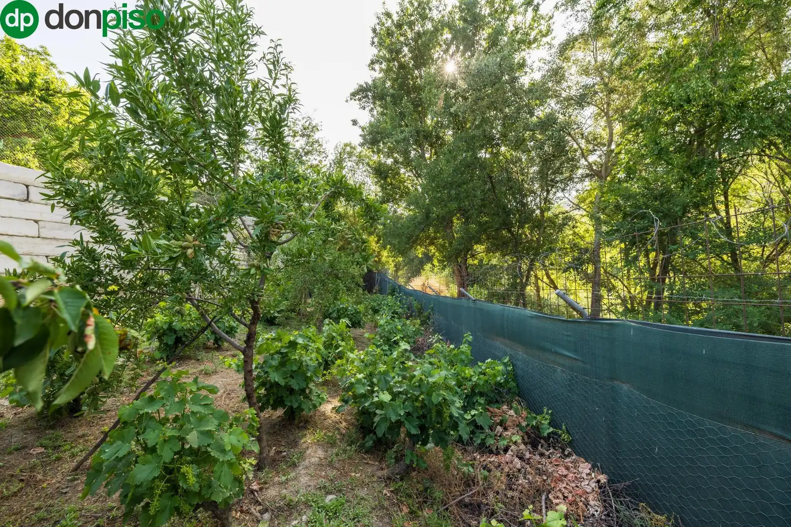 Terreno en venta en Paseo Paseo Duquesa, Pinos Genil