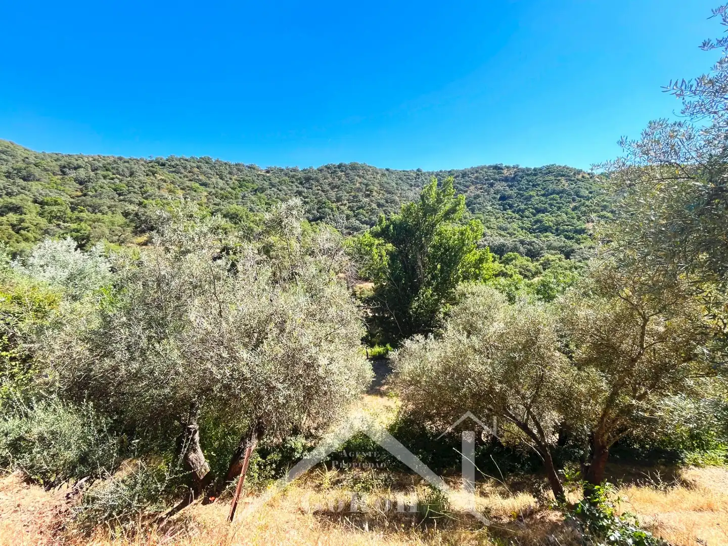 Grundstücke zum Verkauf in Constantina