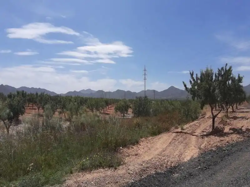 Terreno en venta en Fuente Álamo de Murcia