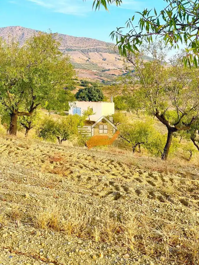 Maison rustique à vendre à Vélez-Rubio, imagen 26