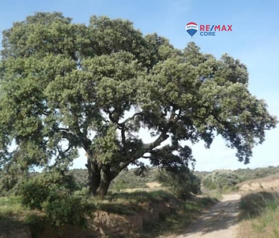 Terreno en Venta en La Roca de la Sierra