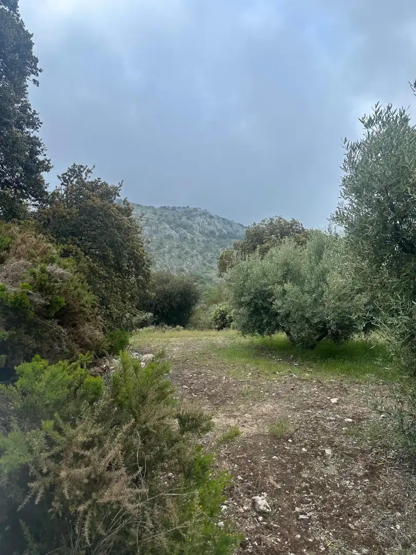 Terreni e lotti in vendita a Alfarnate, imagen 66