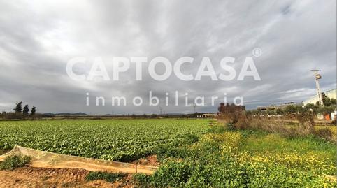 Foto 5 de Terreno en venta en Pasaje la Carrasca, Miranda, Cartagena