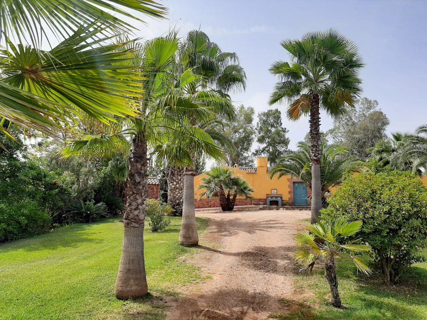 Garden of Country house for sale in Montoro  with Air Conditioner, Private garden and Terrace