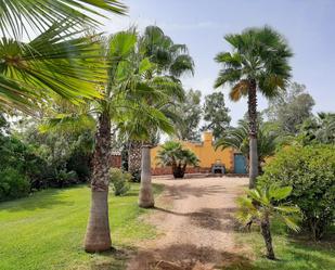 Jardí de Finca rústica en venda en Montoro amb Aire condicionat, Jardí privat i Terrassa