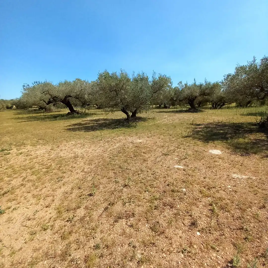 Maison à vendre à Roquetes, imagen 5