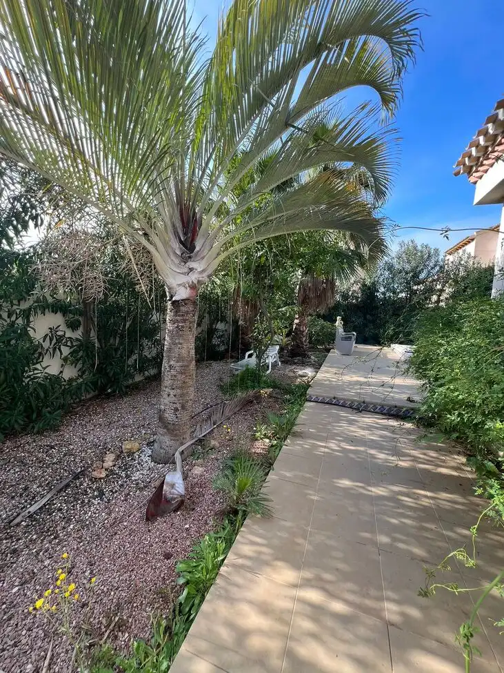 House with pool for sale in Orihuela Costa, imagen 10