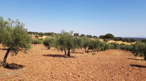Foto 3 von Country house zum Verkauf in Villanueva del Duque, Córdoba