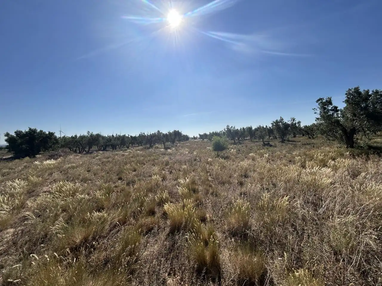 Finca rústica en venta en Ablitas