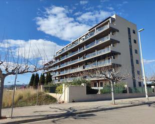 Exterior view of Garage for sale in Torreblanca