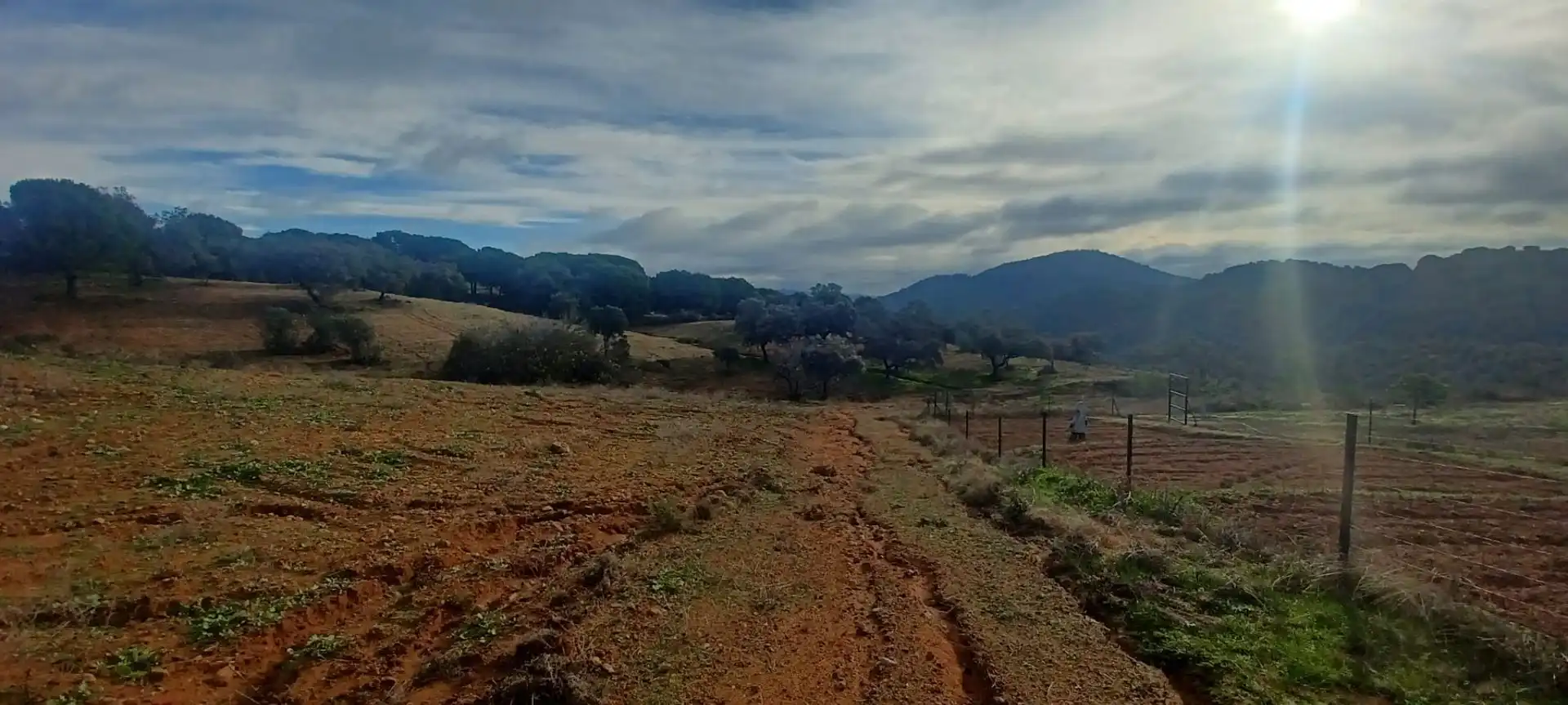 Terreny rústic en venda a Cazalla de la Sierra, imagen 44