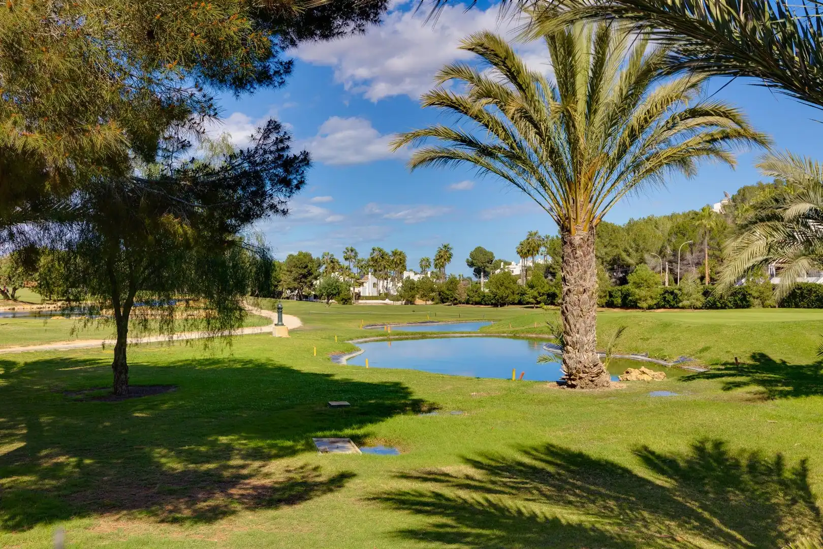 Mini appartamento con terrazza in affitto a Campo de Golf Lomas de Campoamor, imagen 73
