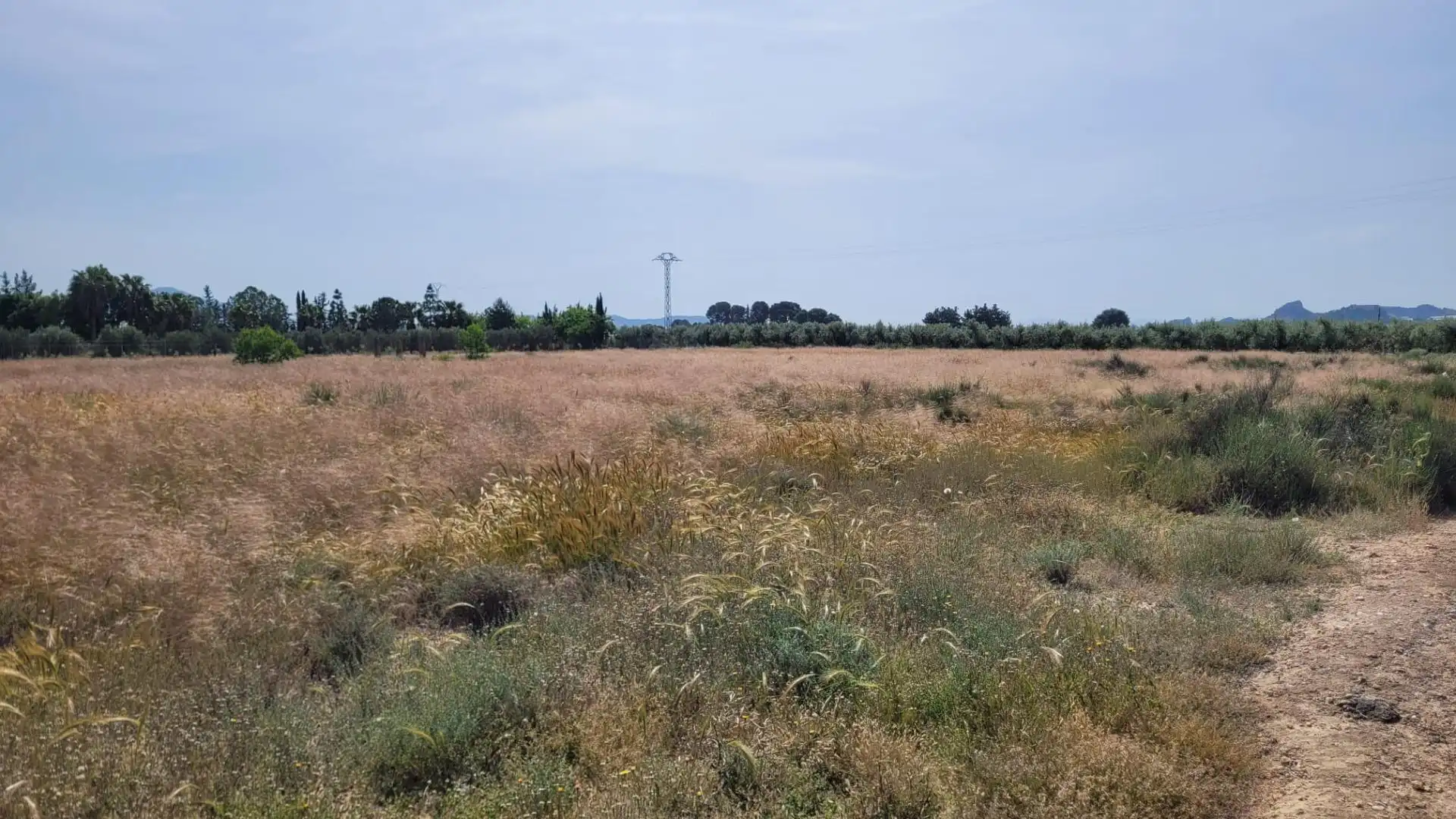 Terreno en venta en Blanca