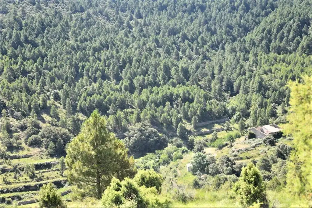 Terreni e lotti in vendita a Peñarroya de Tastavins, imagen 4