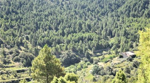 Foto 4 de Terreno en venta en Peñarroya de Tastavins, Teruel