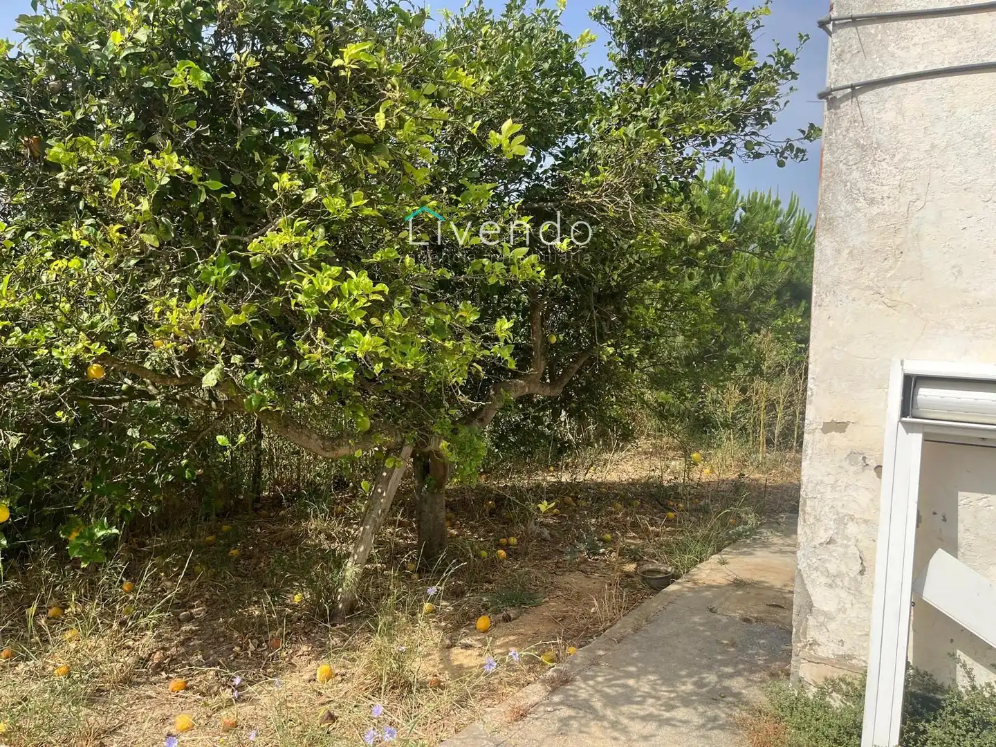 Chalet en venta en Pelagatos - Pago del Humo, imagen 13